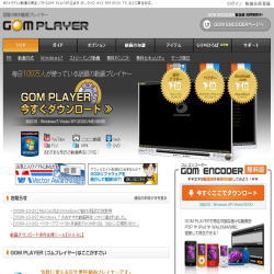 mp3,mov,mpg,mp4,avi,wmv,fly,�ǂ�ȃt�@�C��,�Đ�,�}���`���f�B�A�v���C���[